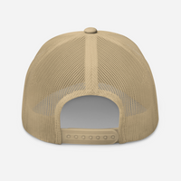 PD Football - Snapback