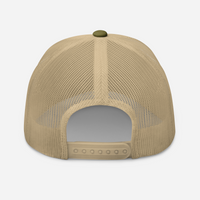 PD Football - Snapback